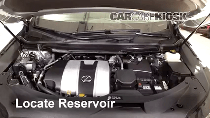 How to Add Power Steering Fluid to a 2016 Lexus RX350 3.5L V6